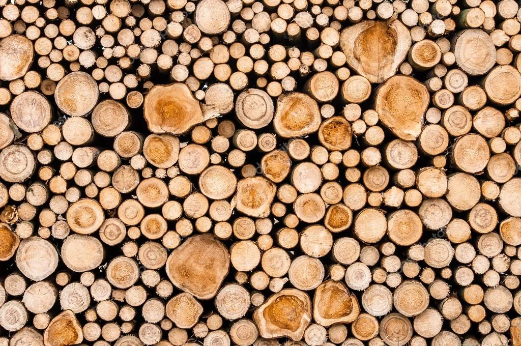 کسب درآمد از طریق ضایعات چوبی