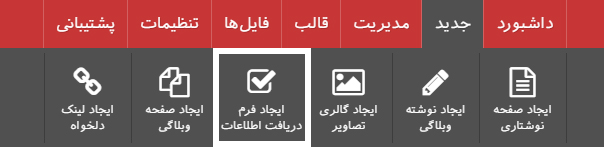 گزینه ایجاد فرم دریافت اطلاعات پنل کاربری