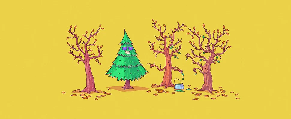 محتوای همیشه سبز چیست و چه تاثیری در سئو سایت دارد؟